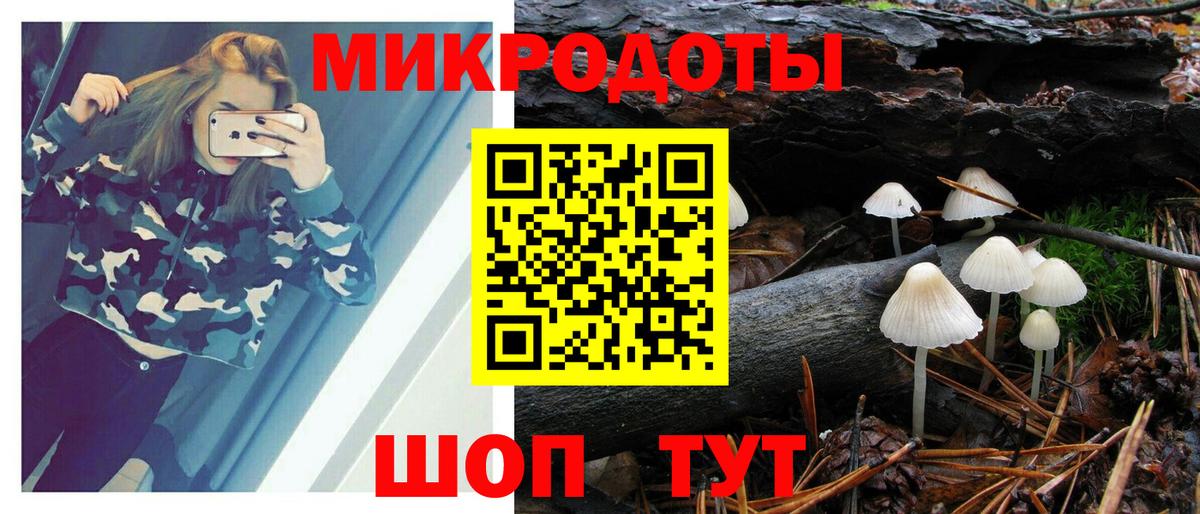 Галлюциногенные грибы прущие грибы Протвино