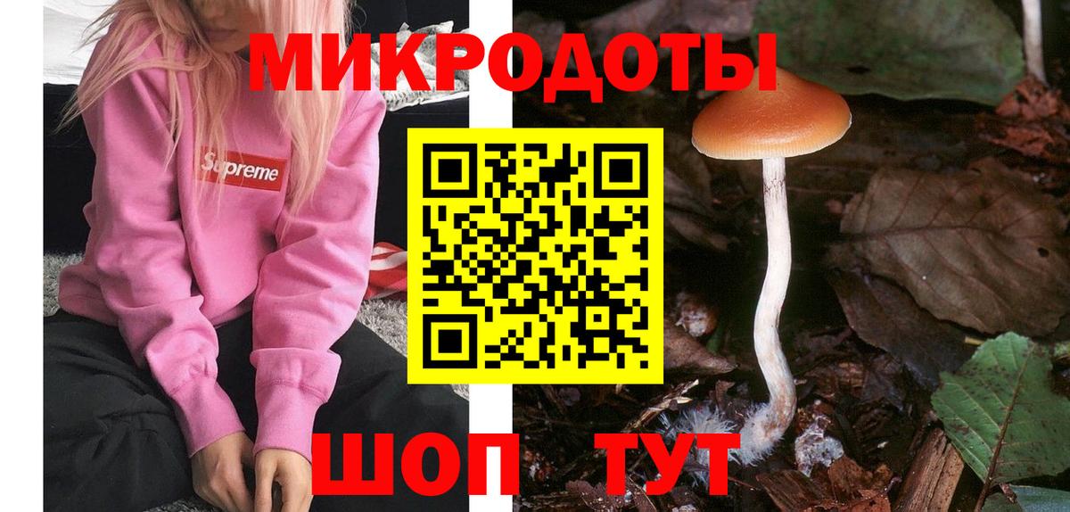 Псилоцибиновые грибы прущие грибы  Вход с VPN  Псилоцибиновые грибы мицелий  Протвино 